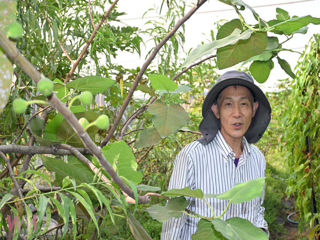 從教壇到菜園 鄭錫禧用十年打造開心農場退休生活更豐盛