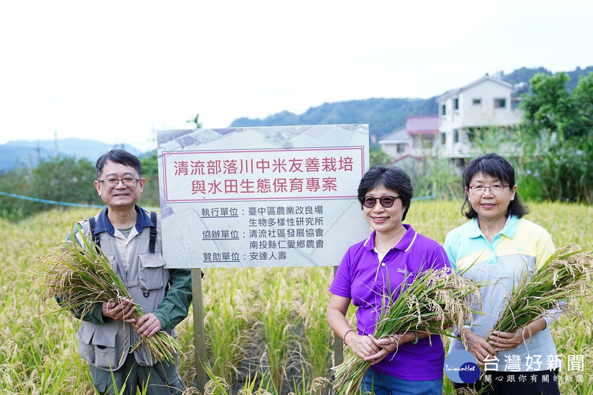 臺中農改場跨域推廣減藥友善生態栽培  助清流部落川中米永續發展