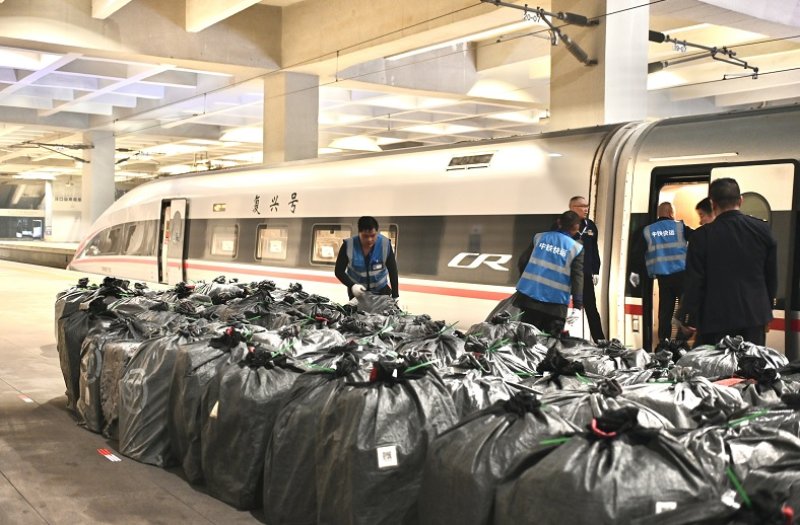 華中—大灣區再添高鐵快運線　武漢至廣州列車啟運