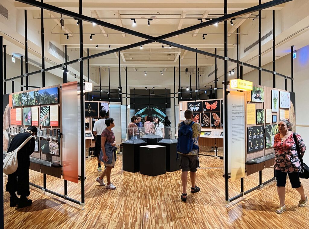 「島嶼飛行—臺灣蝶蛾生存記」特展 看見鱗翅的奇幻旅程,展開一場關於生命與共生的飛行! 33 14 4 1024x758 1