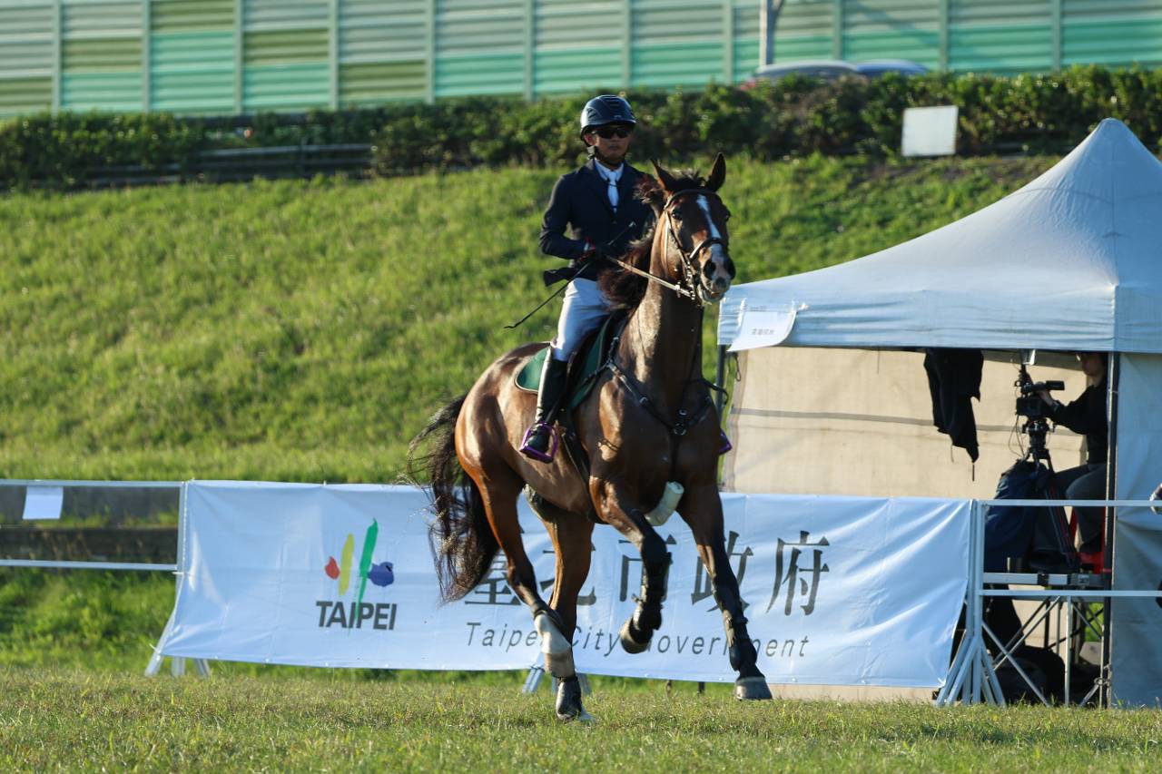 臺北秋季運動盛事登場　馬術賽事結合親子體驗人潮湧現