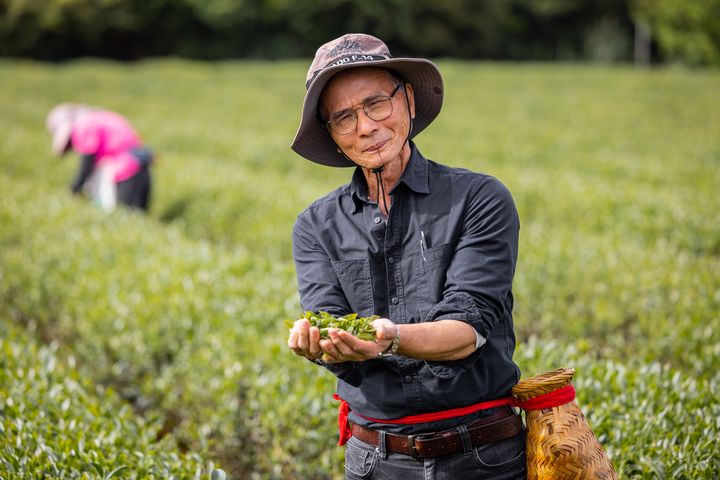桃園好茶／山水共釀的八味芳韻 開啟一場茶與生態的旅程