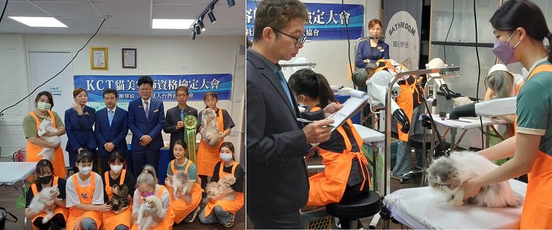 AI 時代最不會被取代的職涯!角落貓學堂聯手KCT推出「貓美容檢定」,掀起新職涯潮