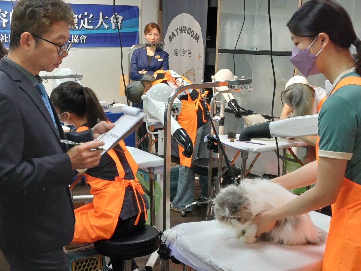 ▲檢定內容涵蓋貓皮毛健康、工具衛生學科；術科則包含洗護流程、修剪技巧。（記者 李堂安 翻攝）