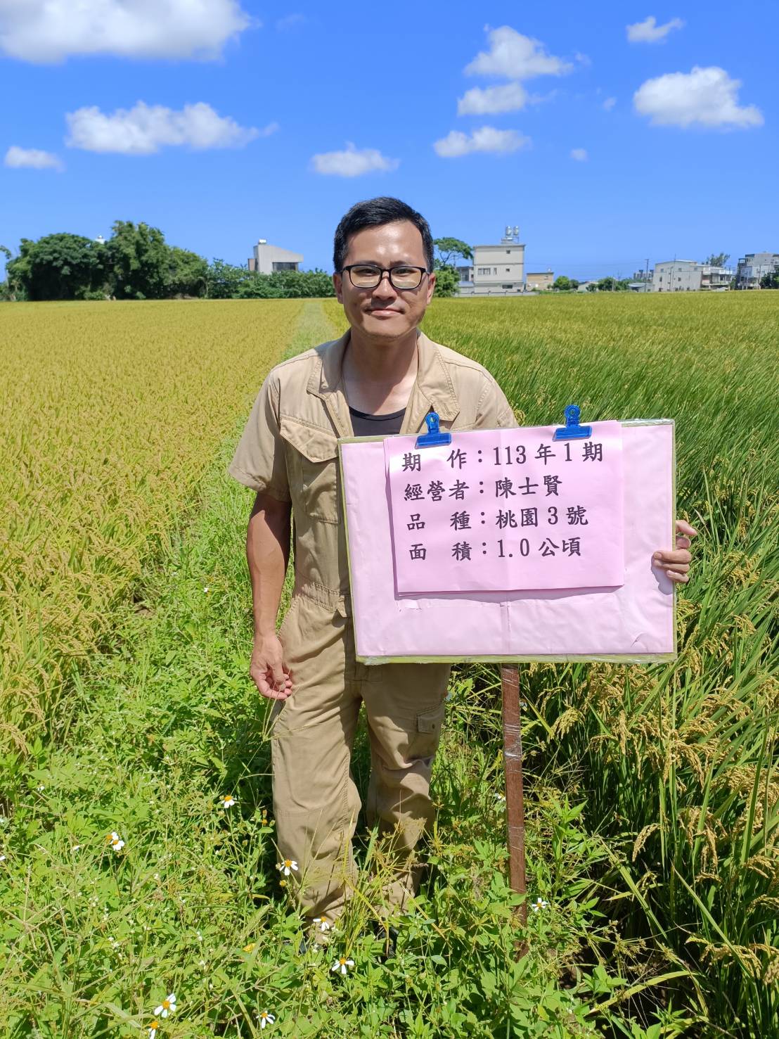 桃園好米躍上世界舞台!大園青農陳士賢赴日挑戰國際大賽最高榮譽 960524 0