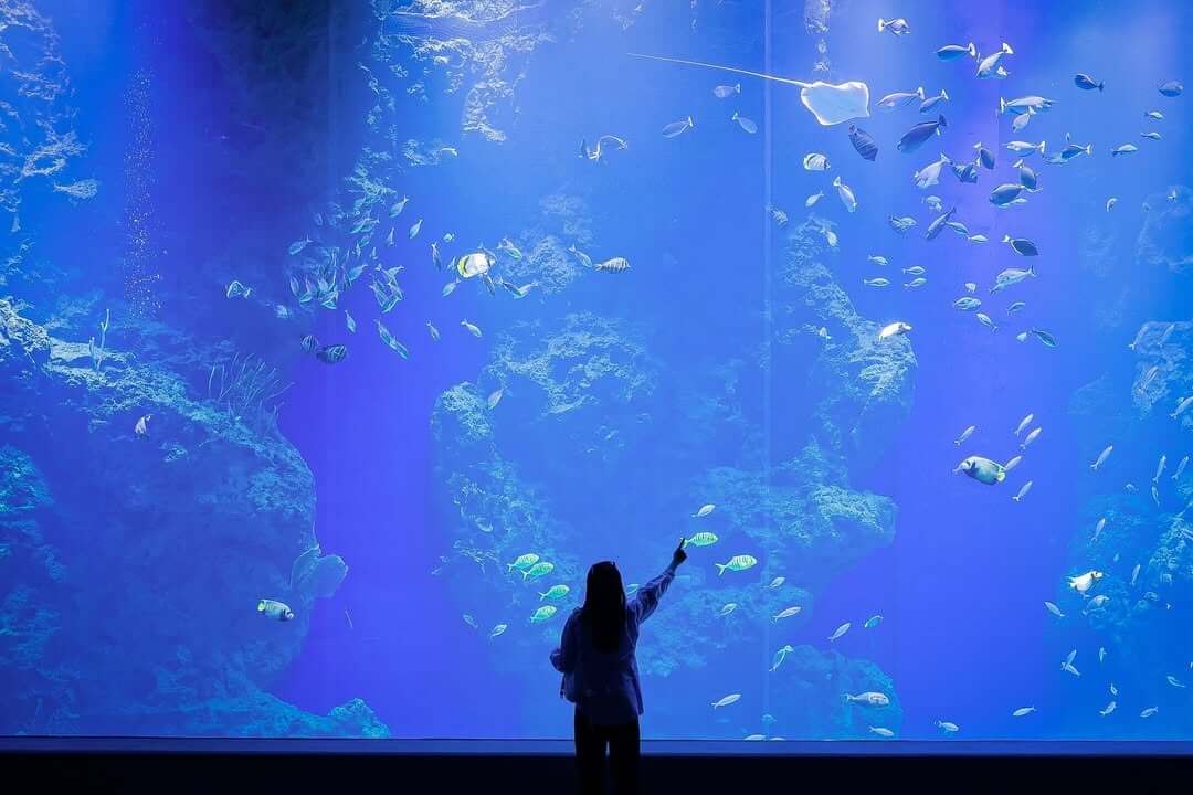 台中海洋館