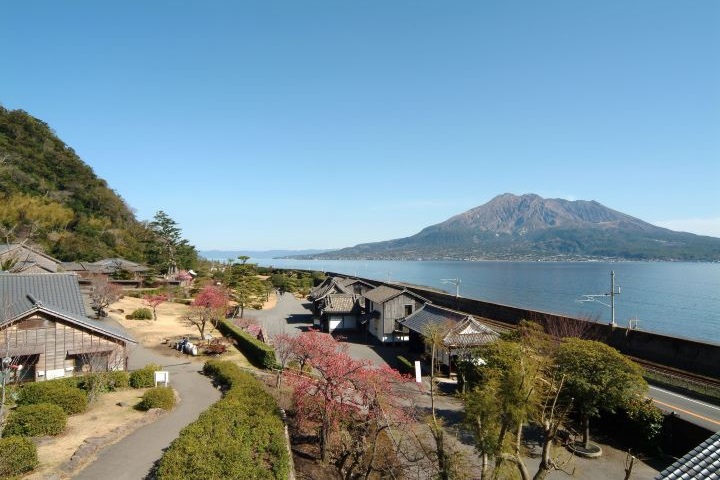 鹿兒島招牌景點仙巖園眺望櫻島美景。 圖:鹿兒島縣觀光連盟/來源