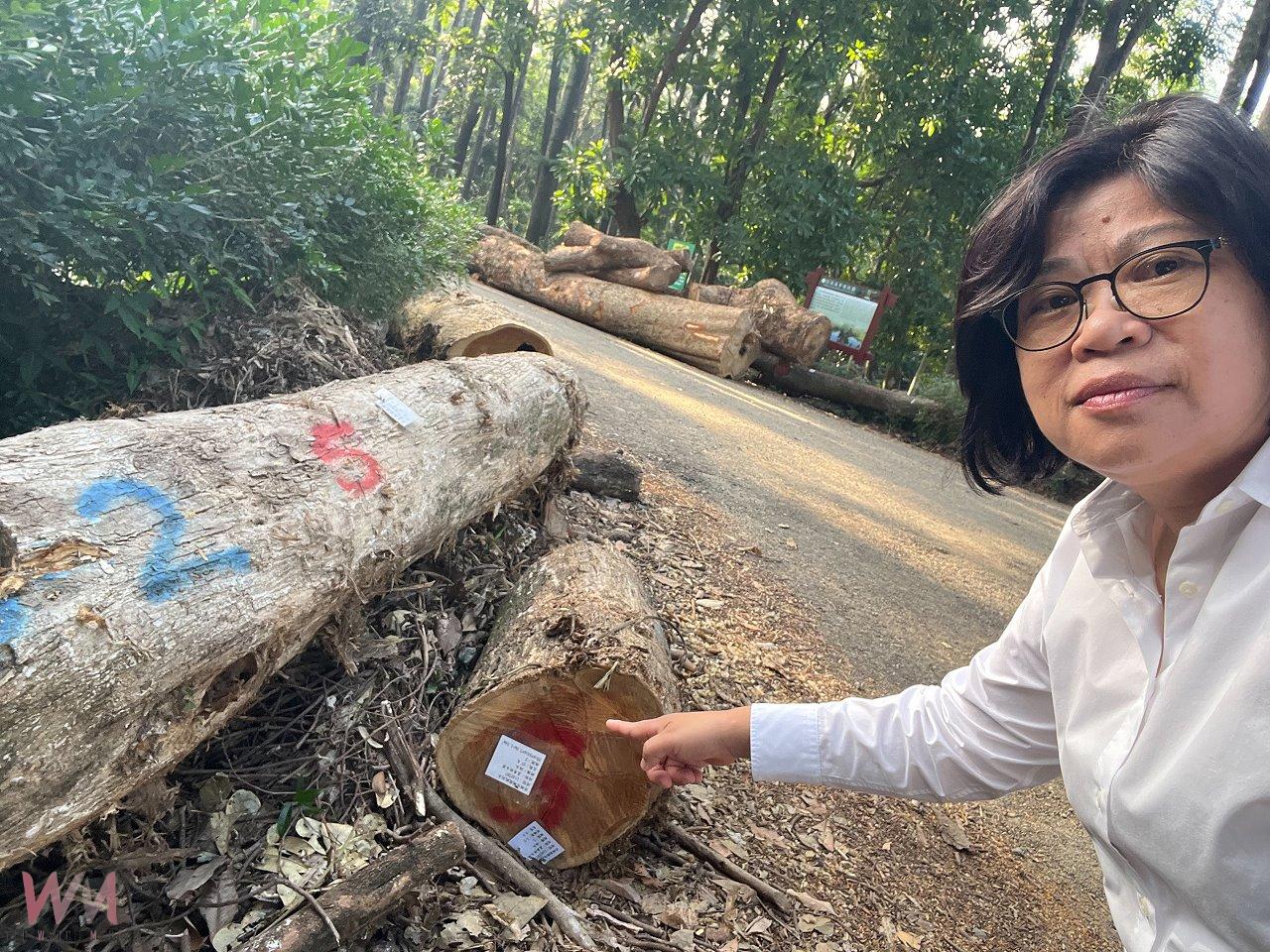 樹木園修復工程延宕 王美惠爭取到農業部統籌經費加速復原 - https://www.watchmedia01.com