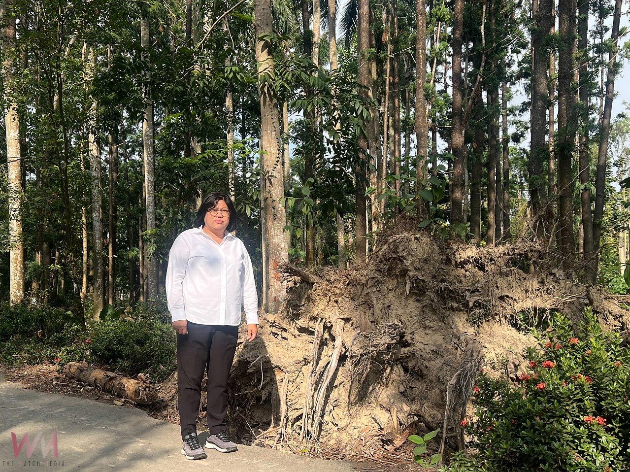 樹木園修復工程延宕 王美惠爭取到農業部統籌經費加速復原 - https://www.watchmedia01.com