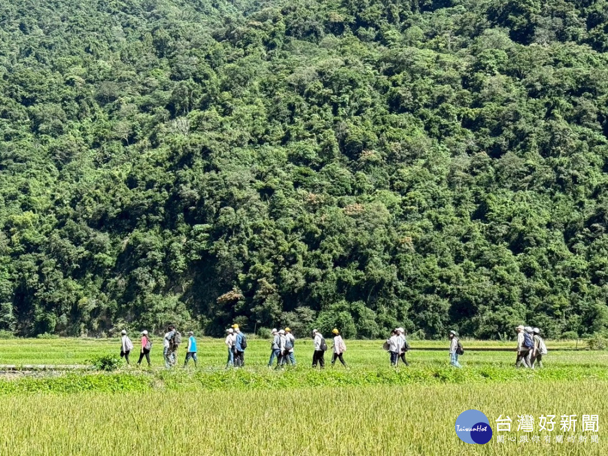公私協力走入南安有機田區,沉浸式體驗在地布農族文化。(玉管處提供)