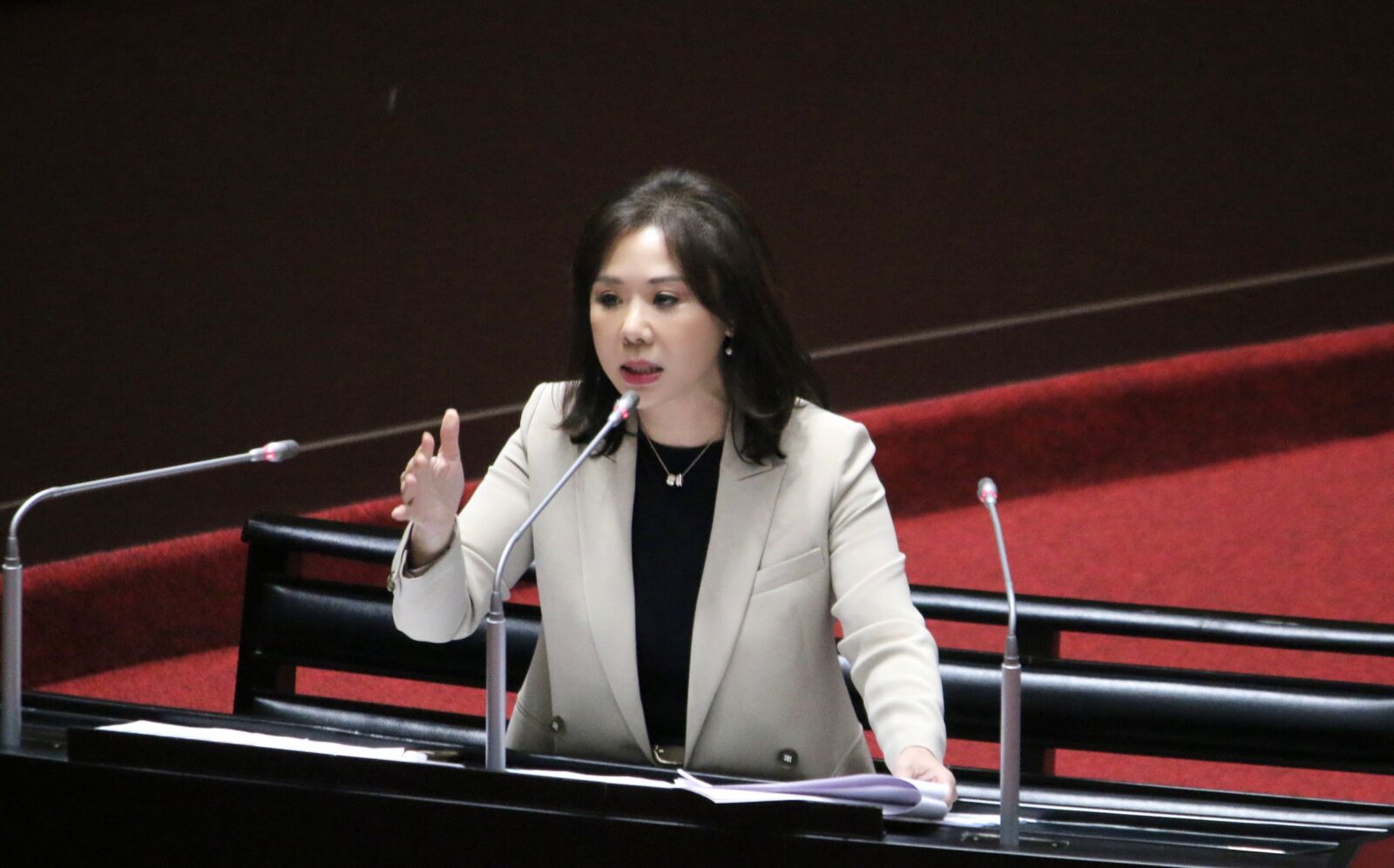 賴清德拋8年1.25兆軍購　李彥秀憂：國安與財政平衡成最大挑戰 221