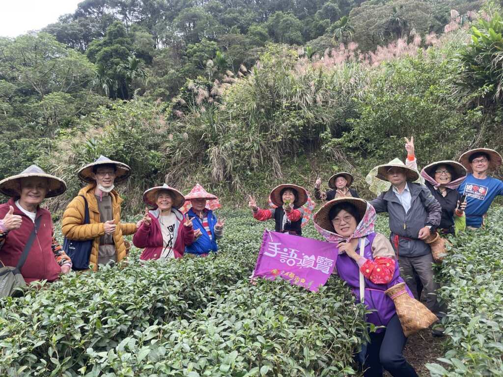 ▲「茶山手語導覽」活動透過走訪茶園的設計,讓聽障朋友能以多重感官體驗茶文化。