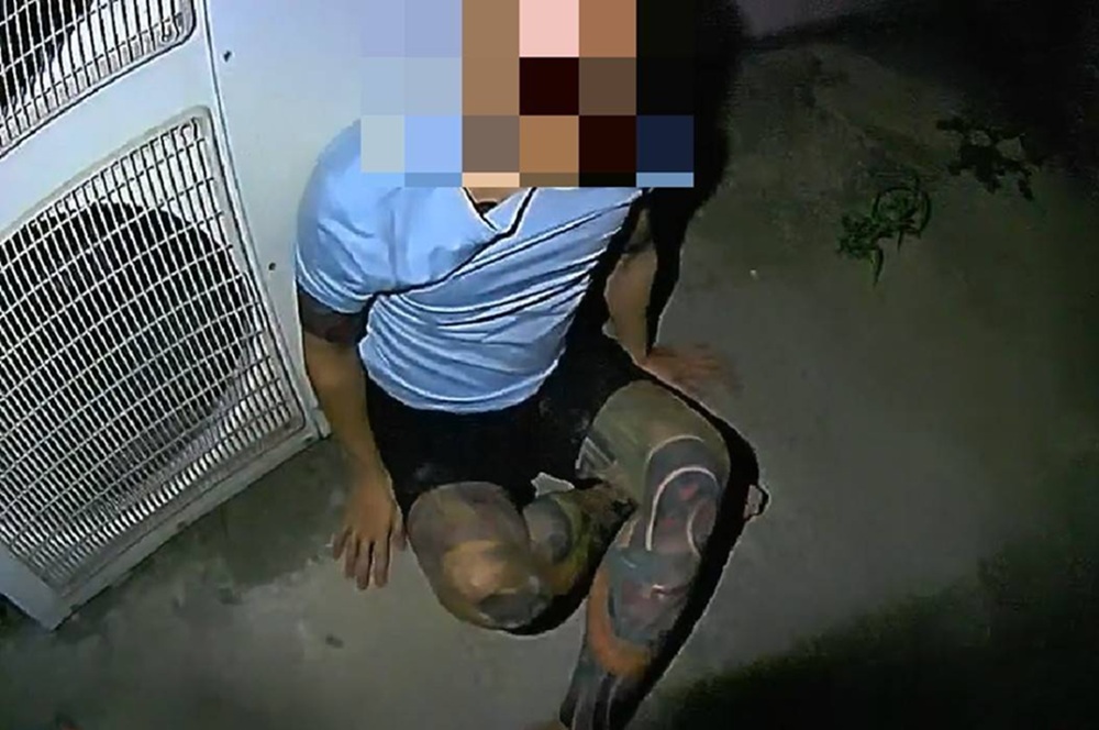 轎車違規左轉 22歲通緝男假藉尿遁脫鞋狂奔 219 cnews204251127a20