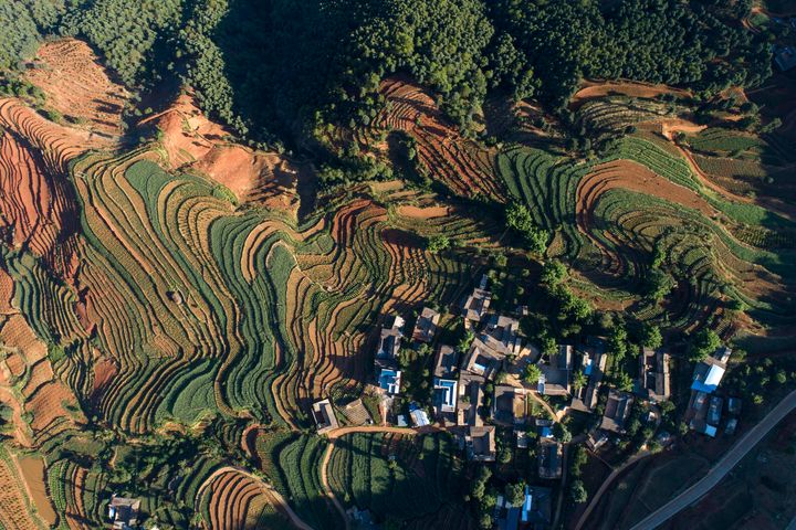 美麗中華精選 擁抱一場溫暖的旅行 體驗「貓冬」滋味
