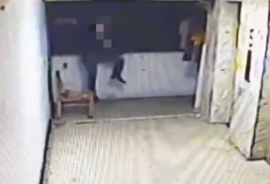 如蜘蛛般翻牆!萬華連環竊案破局 警逮「夜行大盜」追回百萬贓物