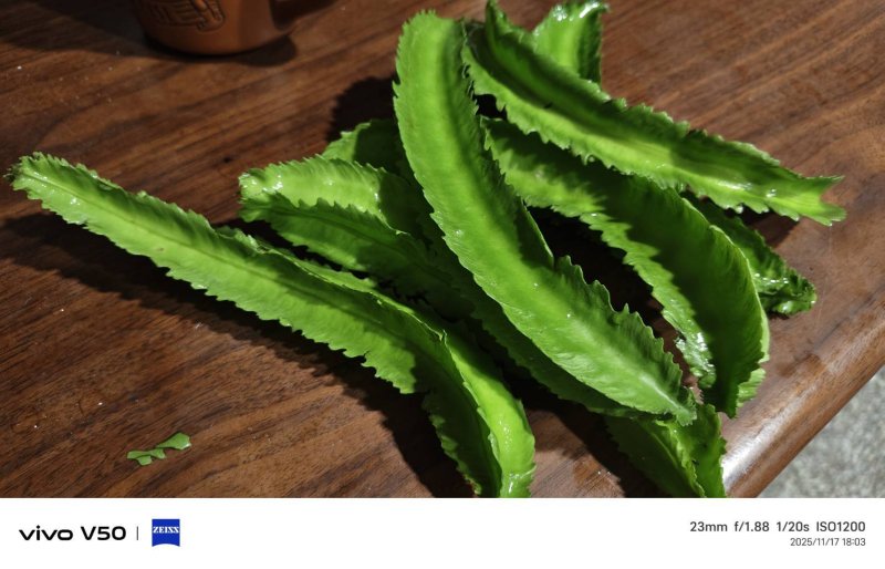 翼豆 楊桃豆,和秋葵的羊角豆不同