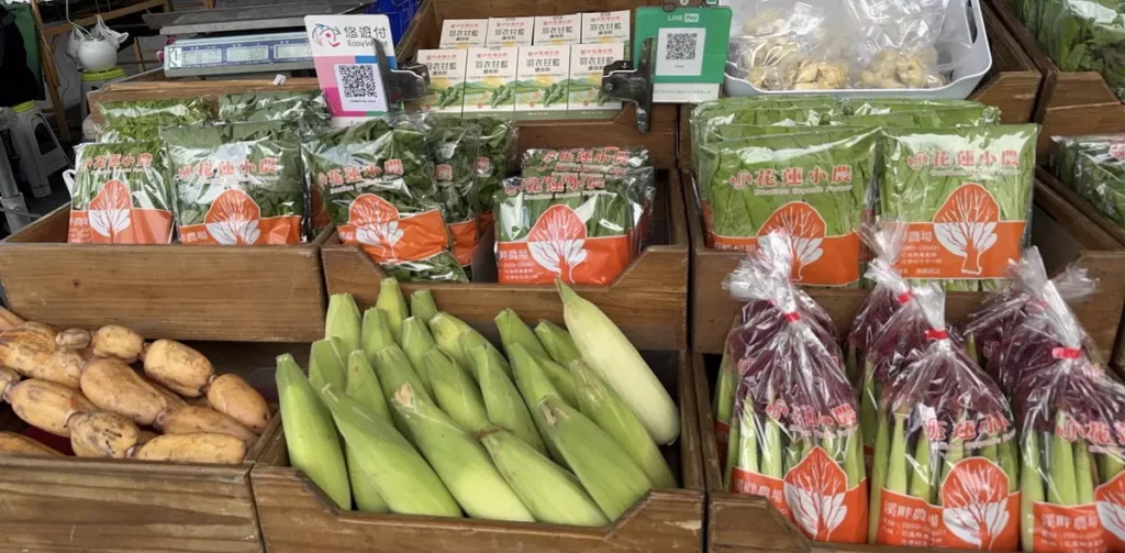 有機蔬菜-花蓮鄒仁芳_