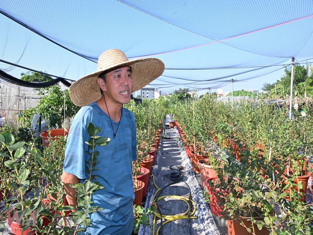 彰化青農何宥鑫打造種苗園 力拚將進口漿果轉為本土果實