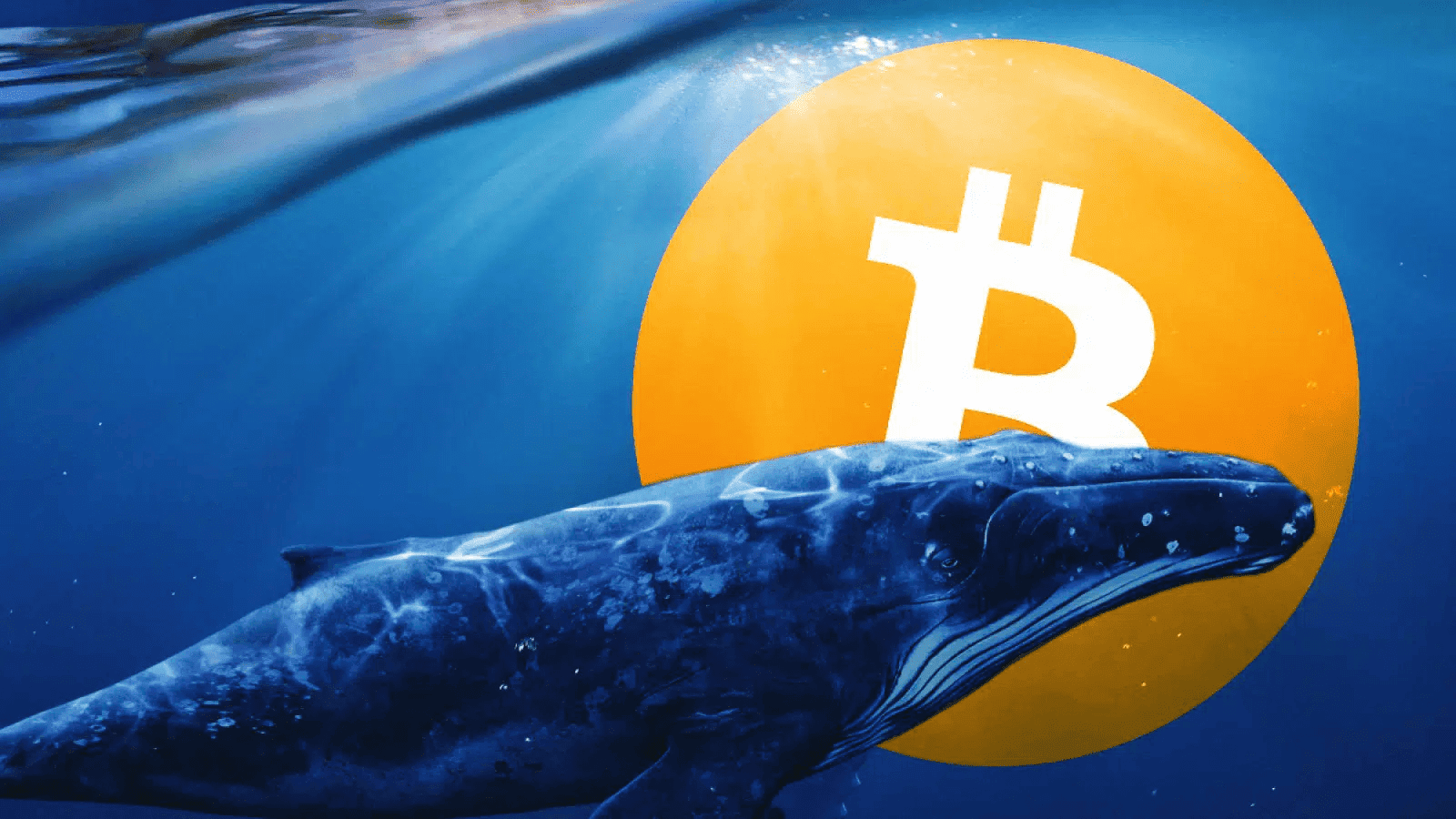MICA Daily|11 月 BTC 流入幣安數量創今年新高,91,000 美元成了牛熊分界線