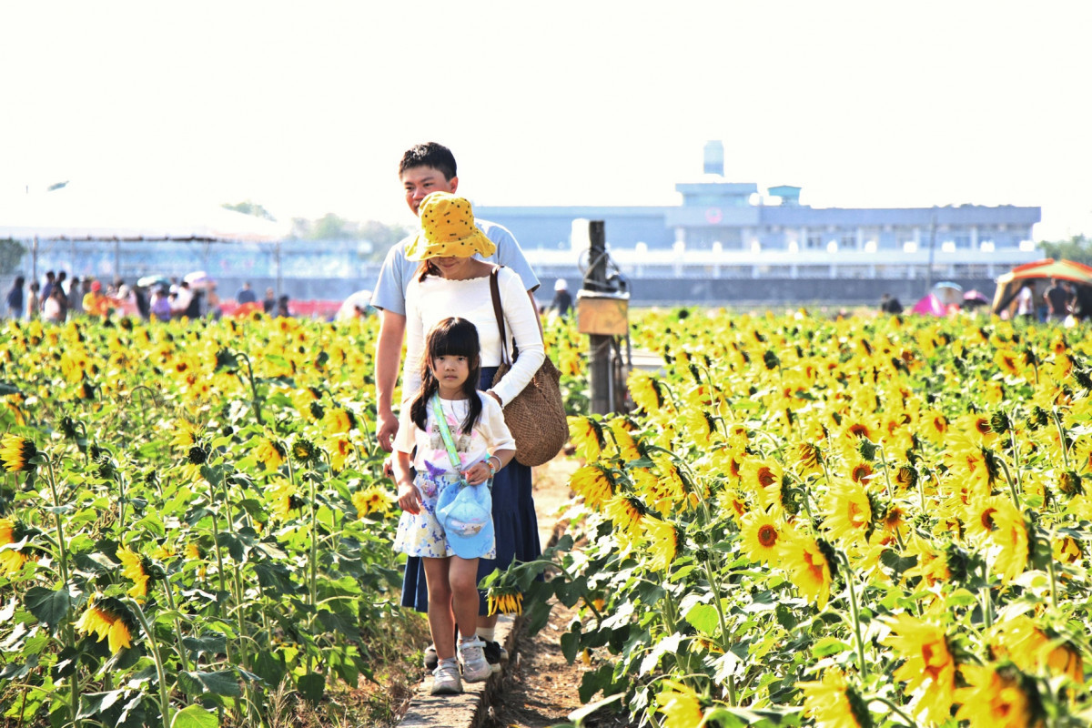 《2025 嘉義花海生活節》今(29)、明(30)二日在玉山路底盛大登場/嘉義市府提供