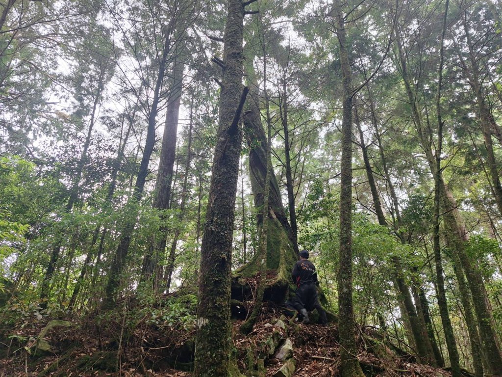 不出國也能爽玩!5大國旅補助一次看 住一晚最高領2000元