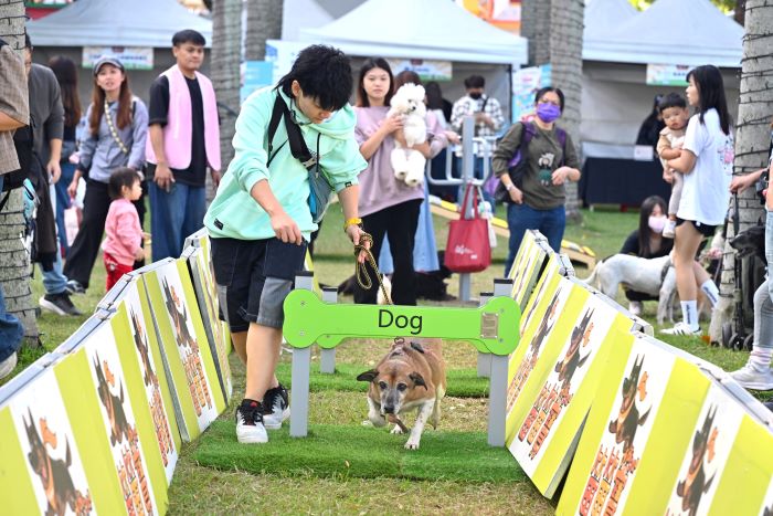 10大寵物遊具免費玩 毛寶貝樂翻耶誕城 28 《圖說》侯友宜表示,新北歡樂耶誕城期間有10大寵物遊具免費玩,歡迎大家帶著毛寶貝到新北。〈動保處提供〉
