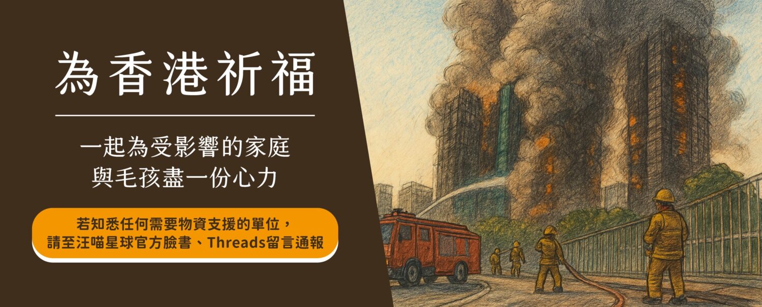 為香港宏福苑火災祈福,汪喵星球呼籲各界共同關注受災家庭與毛孩需求,並建立物資協助通報窗口。(圖/汪喵星球提供)