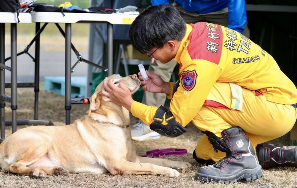 竹市搜救犬隊通過國家MRT認證 邱臣遠:展現救災實戰能力 26 114113011