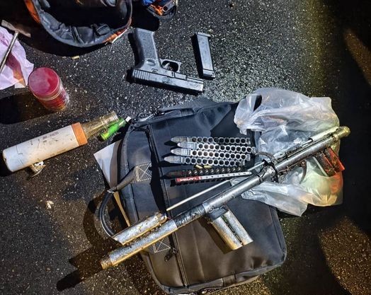 越南逃逸移工為4500元 宰貓剝皮再槍殺石虎 210 越南逃逸移工為4500元 宰貓剝皮再槍殺石虎 209