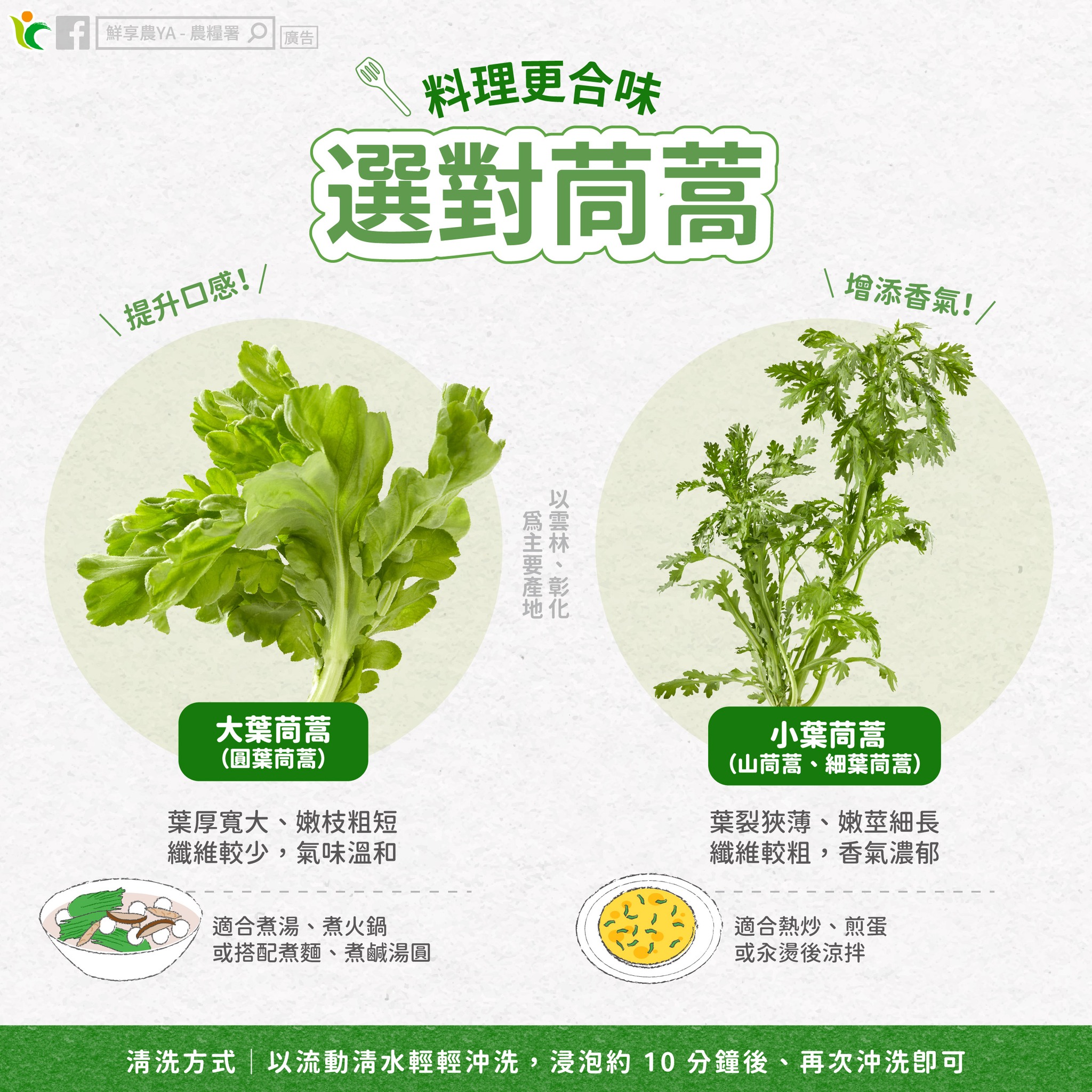冬季火鍋怎麼煮最對味?這種茼蒿最適合當配料 577558584 1148621347416494 1825462605046692965 n 1