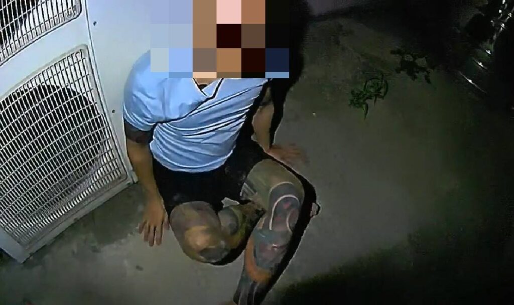通緝男子假藉尿遁拖延後拔腿狂奔,最終因體力不支跌倒遭警方逮捕。(圖/記者林家嘉翻攝)