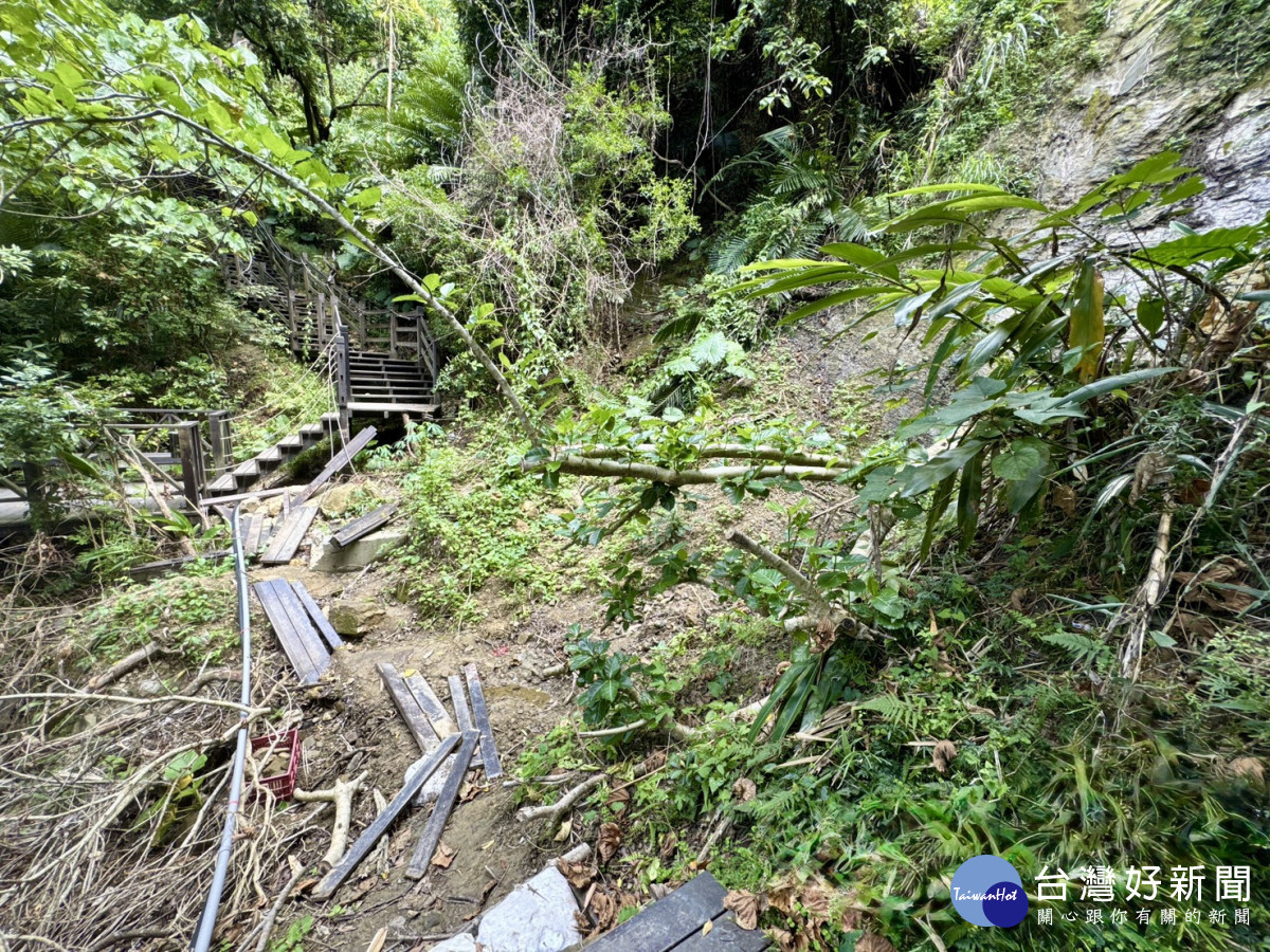 10號步道邊坡大範圍坍塌及掏空沖刷