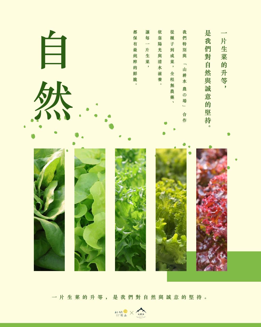 松間石上用一盤菜,種下對土地與客人的承諾