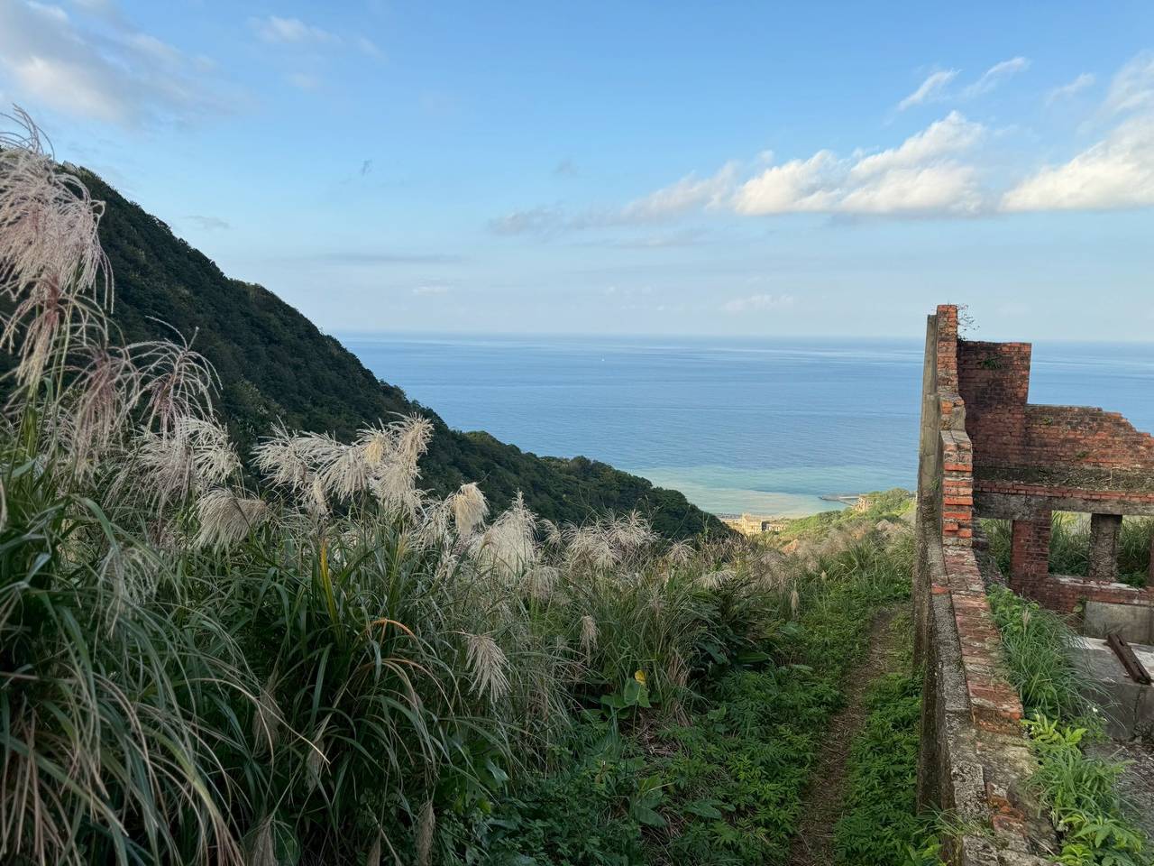 秋冬芒花美景吸睛 新北推出賞芒活動並加碼抽好禮