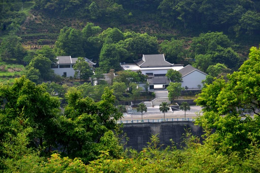 新北茶博館辦「茶山手語導覽一日遊」 打造友善多感官茶文化體驗