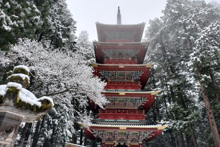 日光東照宮在1999年被登記為世界文化遺產。 圖:Photo AC/來源