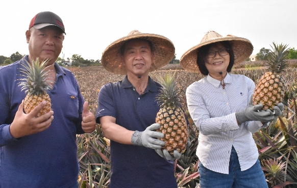 ▲許智傑表示,未來將推動成立「南台灣觀光隊,整合台南、高雄、屏東等縣農特產、文化推廣與品牌行銷。(記者 李堂安 翻攝)