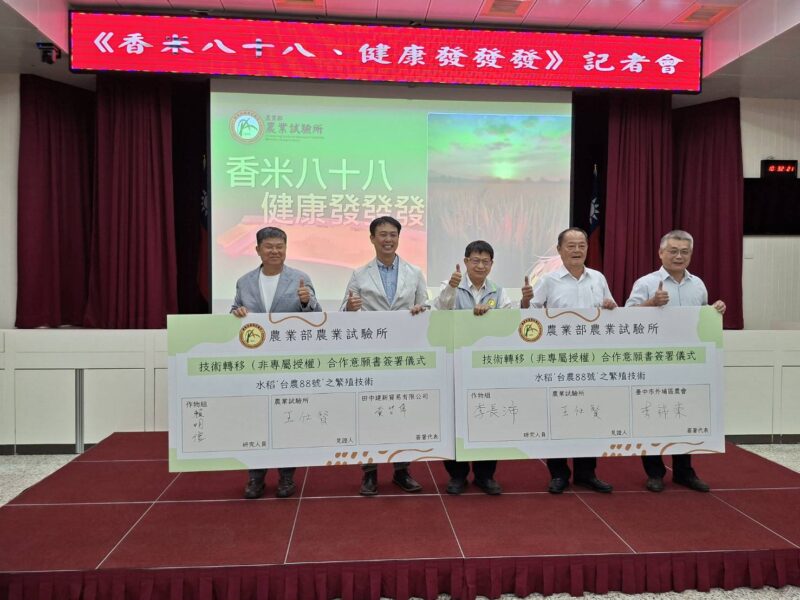 圖文:農試所發表台農88號 香米 耐熱省水、智慧監測打造永續稻作。