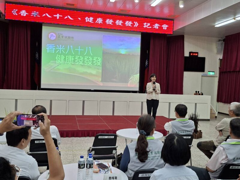 圖文:農試所發表台農88號 香米 耐熱省水、智慧監測打造永續稻作。