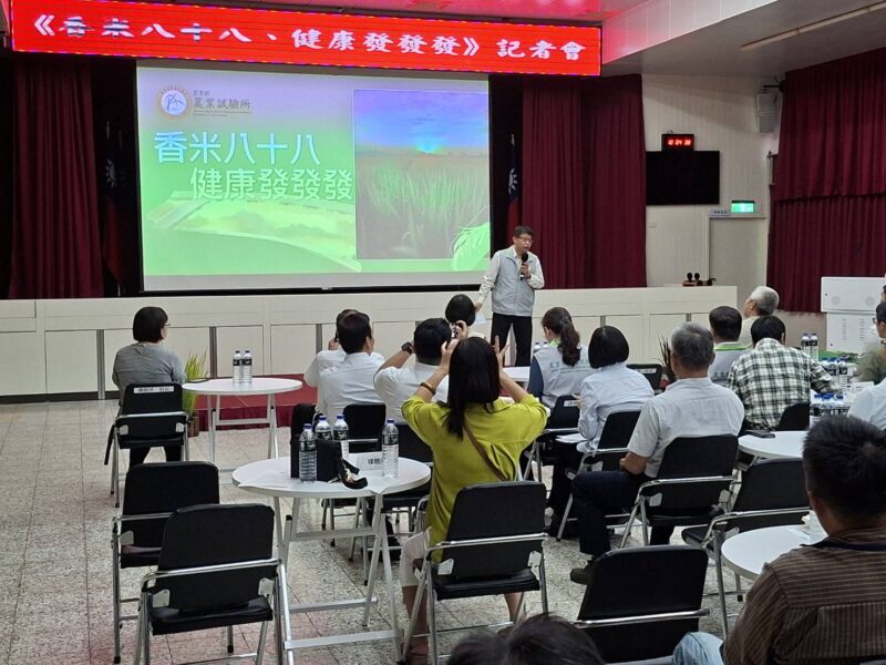 圖文:農試所發表台農88號 香米 耐熱省水、智慧監測打造永續稻作。