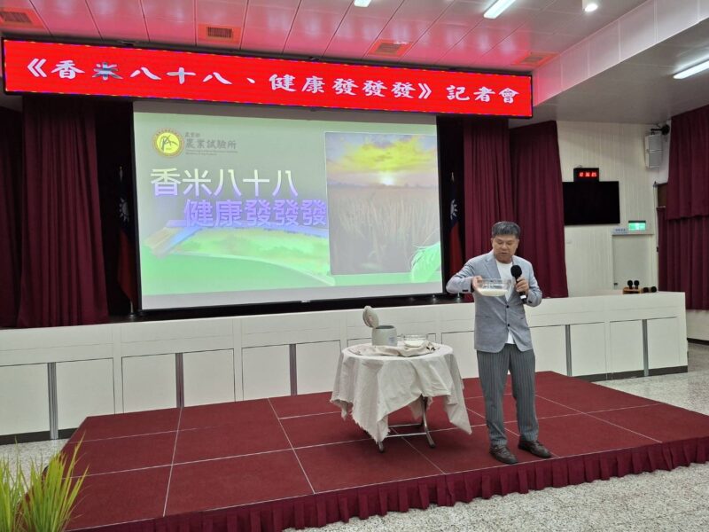 圖文:農試所發表台農88號 香米 耐熱省水、智慧監測打造永續稻作。