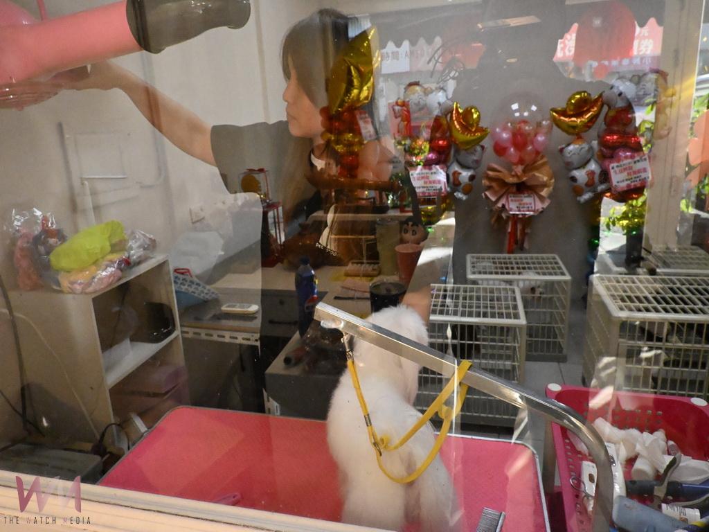 因毛小孩結緣的夫妻檔 攜手在埔鹽打造嚕比專業寵物美容店 - https://www.watchmedia01.com