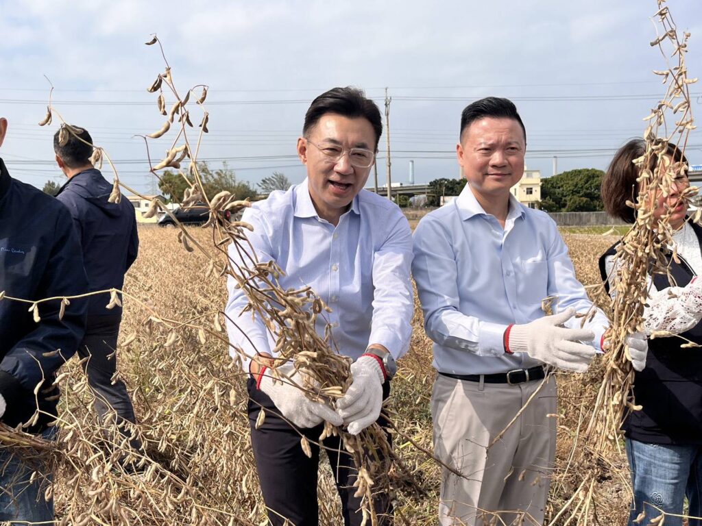 臺中市農會285公頃稻田轉作國產大豆 700公噸豐收新鮮上市 44 434497