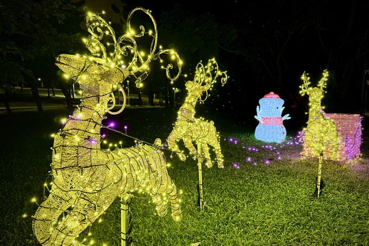 「2025臺北耶誕愛無限」暖心揭幕 新生南路浪漫燈飾、大安森林公園精彩活動輪番登場