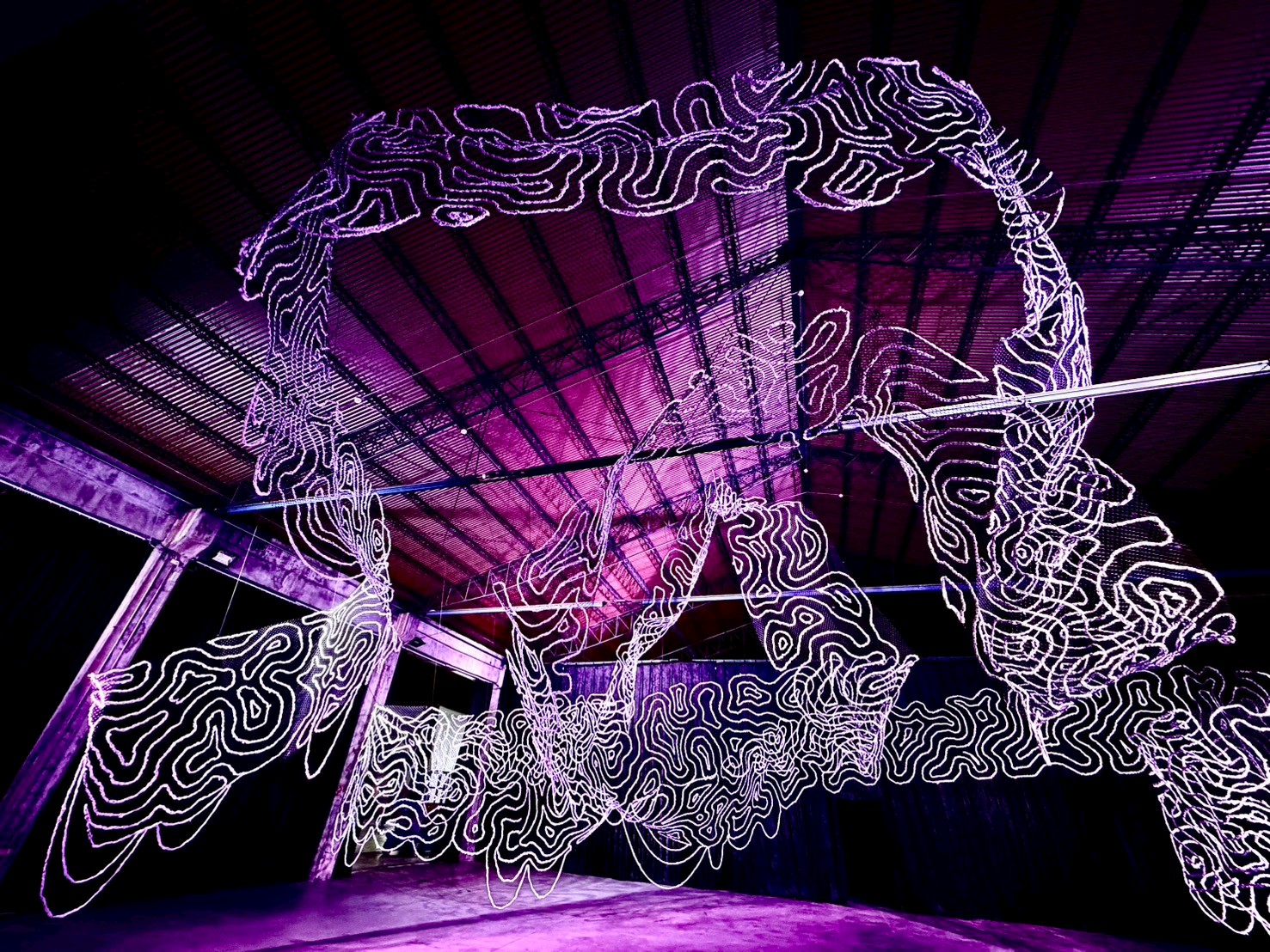 映像節《光與影 Light & Shadow》 中興文創園區展出開啟觀者與土地對話 - https://www.watchmedia01.com