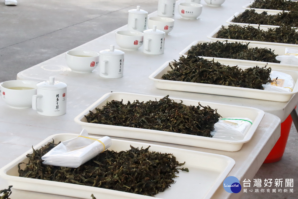 初步評選優質的茶已出列。( 記者扶小萍攝)