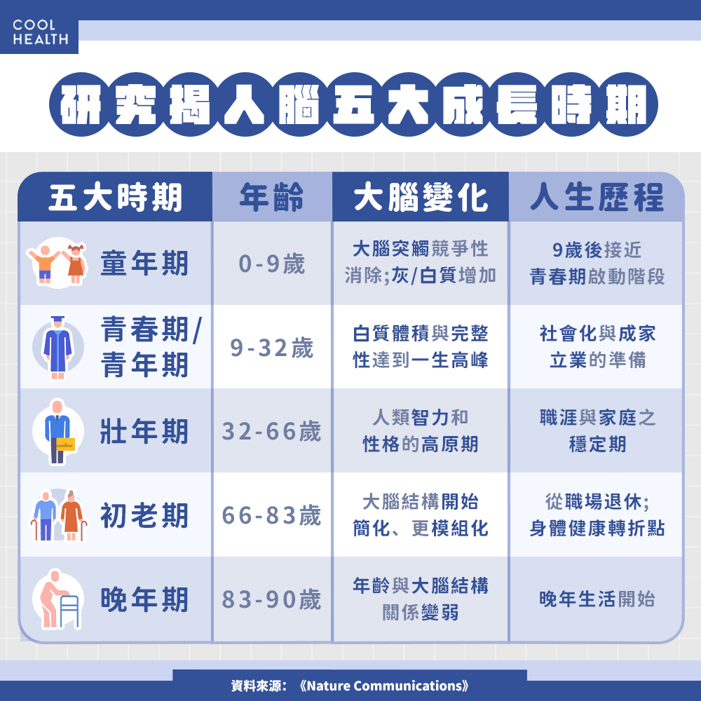 32歲是大腦運作巔峰期? 研究揭4大關鍵轉折點