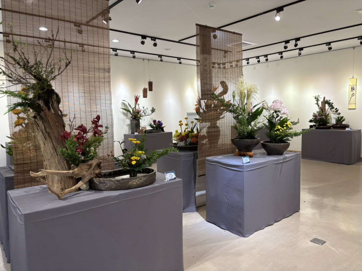 E77956832947c25489e09669b0c1b7dd