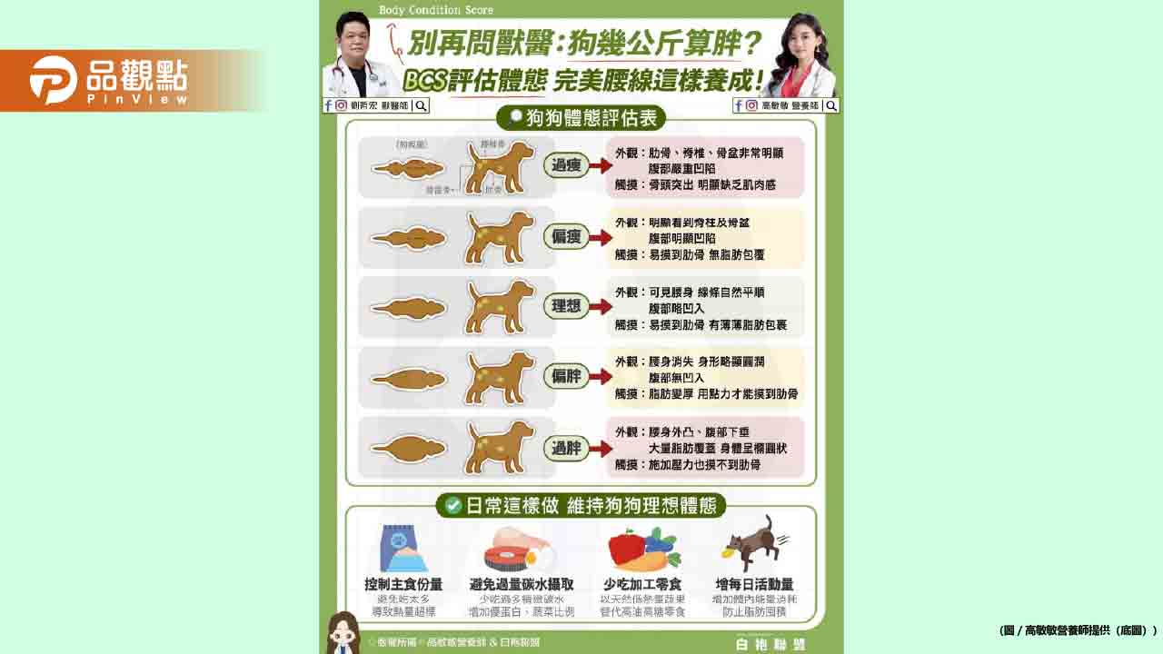 狗狗的體重其實參考價值有限 真正關鍵是身上「脂肪量×肌肉量×輪廓表現」