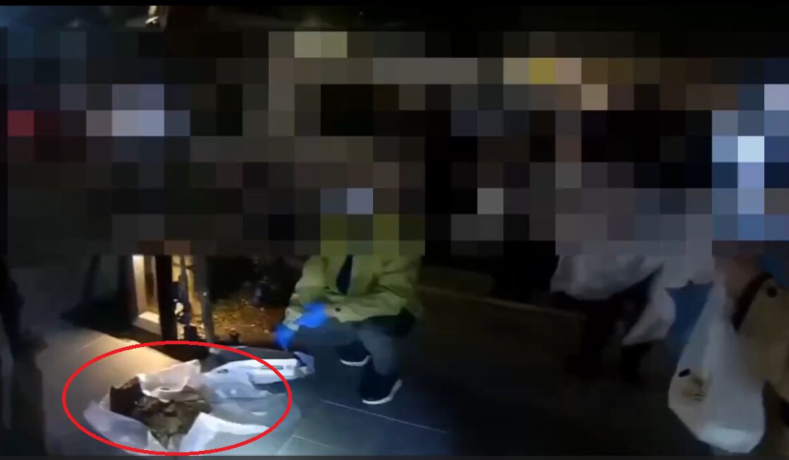 垃圾袋藏12具貓屍飄濃厚腐臭味 無業女責任全推前男友 186 垃圾袋藏12具貓屍飄濃厚腐臭味 無業女責任全推前男友 185